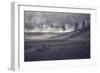 Moody Bison Landscape, Yellowstone-Vincent James-Framed Photographic Print