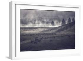 Moody Bison Landscape, Yellowstone-Vincent James-Framed Photographic Print