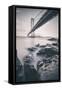 Moody Black and White Cityscape at San Francisco Bay-Vincent James-Framed Stretched Canvas