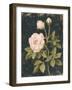 Moody Blooms II-Victoria Borges-Framed Art Print