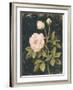 Moody Blooms II-Victoria Borges-Framed Art Print