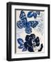 Moody Blues-Violet Leclaire-Framed Art Print