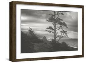 Moody Cannon Beach, Black and White, Oregon Coast-Vincent James-Framed Photographic Print