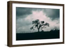 Moody Diablo Hills and Farm Scene, Mount Diablo, Northern California-Vincent James-Framed Photographic Print