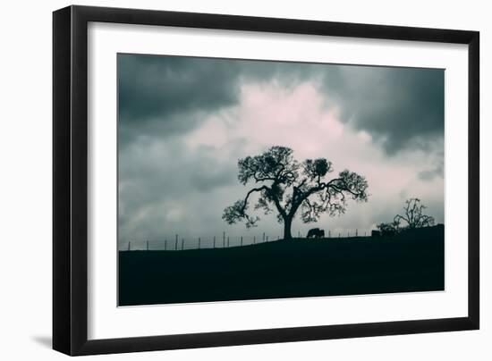 Moody Diablo Hills and Farm Scene, Mount Diablo, Northern California-Vincent James-Framed Photographic Print