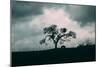 Moody Diablo Hills and Farm Scene, Mount Diablo, Northern California-Vincent James-Mounted Photographic Print