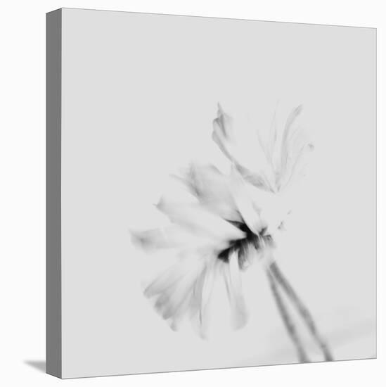Moody Flower 2-Imaginative-Stretched Canvas