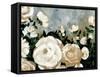 Moody Garden-Yvette St. Amant-Framed Stretched Canvas