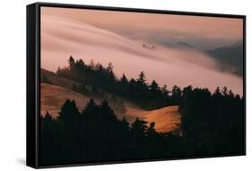 Moody Hills and Fog Flow, Mount Tamalpais, California-Vincent James-Framed Stretched Canvas