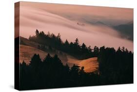 Moody Hills and Fog Flow, Mount Tamalpais, California-Vincent James-Stretched Canvas