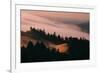 Moody Hills and Fog Flow, Mount Tamalpais, California-Vincent James-Framed Photographic Print