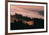 Moody Hills and Fog Flow, Mount Tamalpais, California-Vincent James-Framed Photographic Print