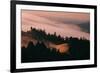 Moody Hills and Fog Flow, Mount Tamalpais, California-Vincent James-Framed Photographic Print