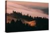 Moody Hills and Fog Flow, Mount Tamalpais, California-Vincent James-Stretched Canvas