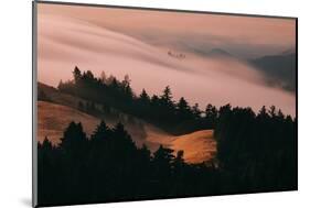 Moody Hills and Fog Flow, Mount Tamalpais, California-Vincent James-Mounted Photographic Print