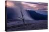 Moody Hot Springs Sunset Tree, Mammoth Hot Springs, Yellowstone-Vincent James-Stretched Canvas