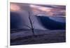 Moody Hot Springs Sunset Tree, Mammoth Hot Springs, Yellowstone-Vincent James-Framed Photographic Print