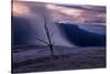 Moody Hot Springs Sunset Tree, Mammoth Hot Springs, Yellowstone-Vincent James-Stretched Canvas