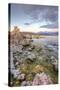 Moody Lakeside Scene at Mono Lake, Sierra Nevada-Vincent James-Stretched Canvas