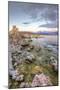 Moody Lakeside Scene at Mono Lake, Sierra Nevada-Vincent James-Mounted Photographic Print