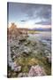 Moody Lakeside Scene at Mono Lake, Sierra Nevada-Vincent James-Stretched Canvas