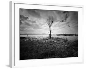 Moody Marsh Tree in Black and White, Central California-null-Framed Photographic Print