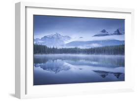 Moody misty morning at Herbert Lake in the Canadian Rockies, Banff National Park-Adam Burton-Framed Photographic Print