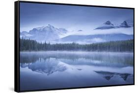 Moody misty morning at Herbert Lake in the Canadian Rockies, Banff National Park-Adam Burton-Framed Stretched Canvas