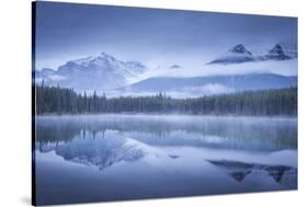 Moody misty morning at Herbert Lake in the Canadian Rockies, Banff National Park-Adam Burton-Stretched Canvas