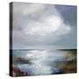 Moody Moment-Karen Hale-Stretched Canvas