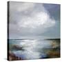 Moody Moment-Karen Hale-Stretched Canvas