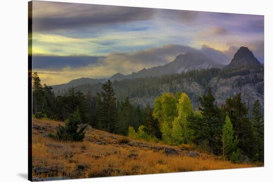 Moody Morning at Round Top, Carsons Pass, California-Vincent James-Stretched Canvas