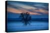 Moody Morning Landscape, Gettysburg Battle Field, Adams County, Pennsylvania, USA-Mira-Stretched Canvas