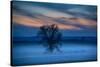 Moody Morning Landscape, Gettysburg Battle Field, Adams County, Pennsylvania, USA-Mira-Stretched Canvas