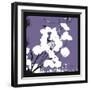 Moody Purple Money Plant-Herb Dickinson-Framed Photographic Print