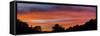 Moody sky at sunset above silhouettes of trees, Florida, USA-Panoramic Images-Framed Stretched Canvas