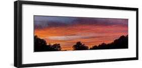 Moody sky at sunset above silhouettes of trees, Florida, USA-Panoramic Images-Framed Photographic Print