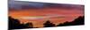 Moody sky at sunset above silhouettes of trees, Florida, USA-Panoramic Images-Mounted Photographic Print