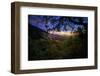 Moody Summer Wonderland at Sunrise Oakland Hills California-Vincent James-Framed Photographic Print