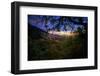 Moody Summer Wonderland at Sunrise Oakland Hills California-Vincent James-Framed Photographic Print