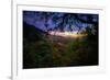 Moody Summer Wonderland at Sunrise Oakland Hills California-Vincent James-Framed Photographic Print