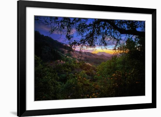 Moody Summer Wonderland at Sunrise Oakland Hills California-Vincent James-Framed Photographic Print
