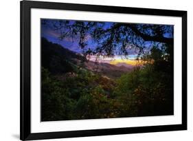 Moody Summer Wonderland at Sunrise Oakland Hills California-Vincent James-Framed Photographic Print