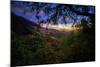 Moody Summer Wonderland at Sunrise Oakland Hills California-Vincent James-Mounted Photographic Print