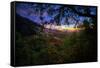 Moody Summer Wonderland at Sunrise Oakland Hills California-Vincent James-Framed Stretched Canvas