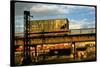 Moody Sunlight Showing Hopper Car of the Reading Railroad Idle on Rusting Elevated Span-Walker Evans-Stretched Canvas