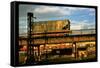 Moody Sunlight Showing Hopper Car of the Reading Railroad Idle on Rusting Elevated Span-Walker Evans-Framed Stretched Canvas