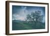 Moody Tree Landscape, Mount Diablo-Vincent James-Framed Photographic Print