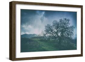 Moody Tree Landscape, Mount Diablo-Vincent James-Framed Photographic Print