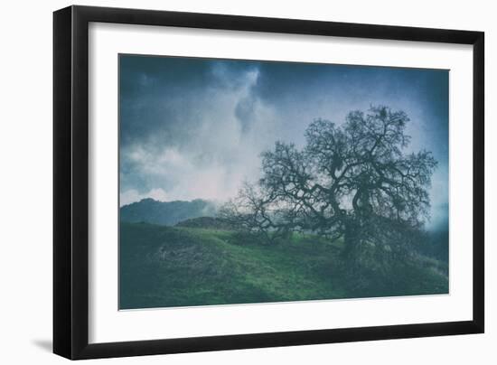 Moody Tree Landscape, Mount Diablo-Vincent James-Framed Photographic Print